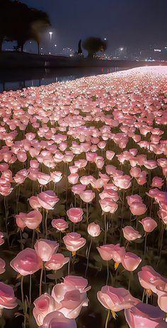Whimsical Waltz of Wildflower Whispers